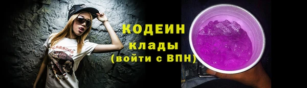 амф Арсеньев