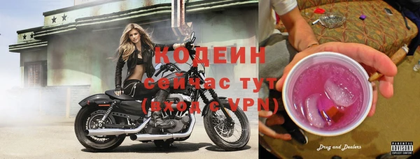 амф Арсеньев