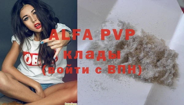 стафф Армянск